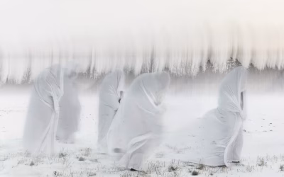 Witte schimmen op het ijs